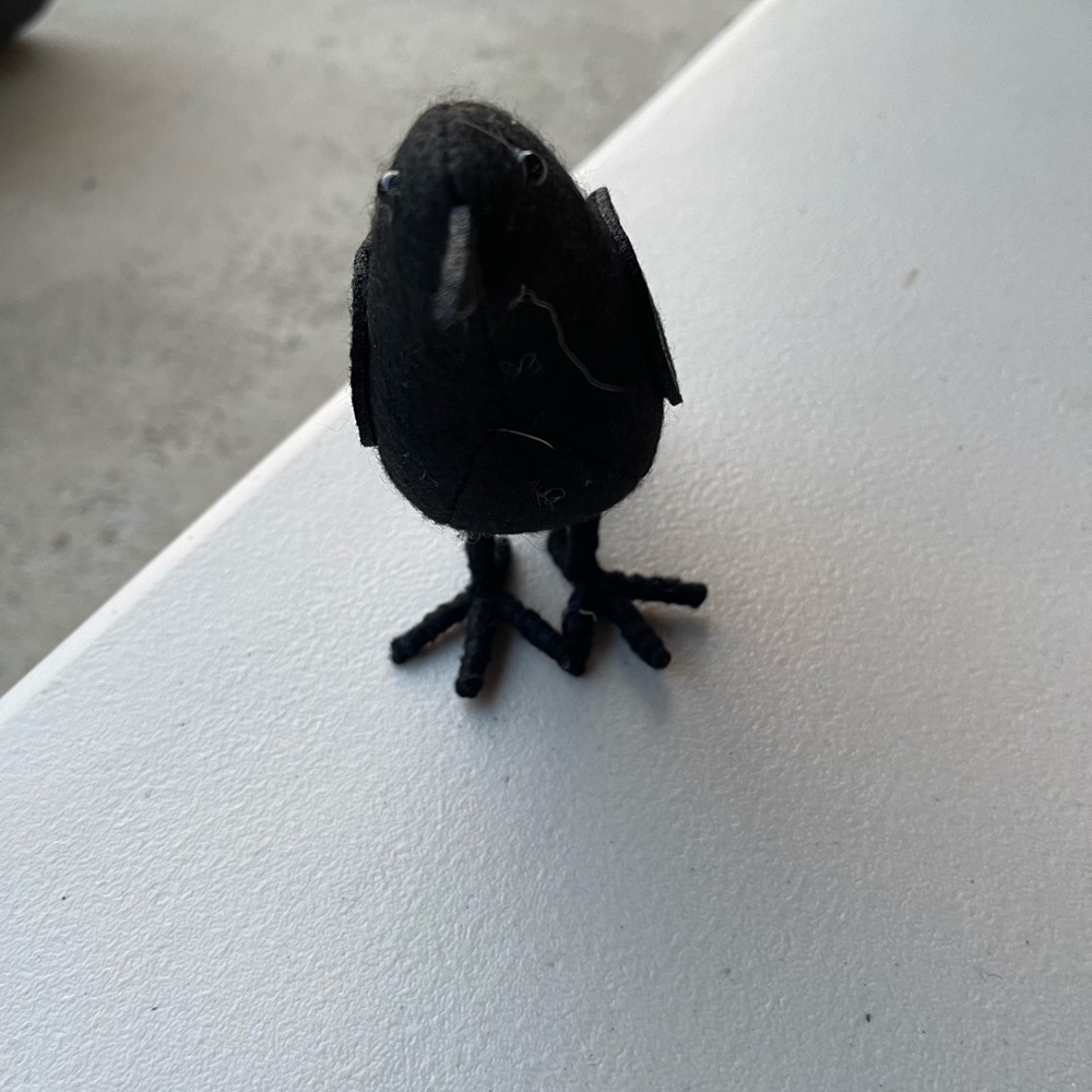 Target fall crow - Picture 2 of 2